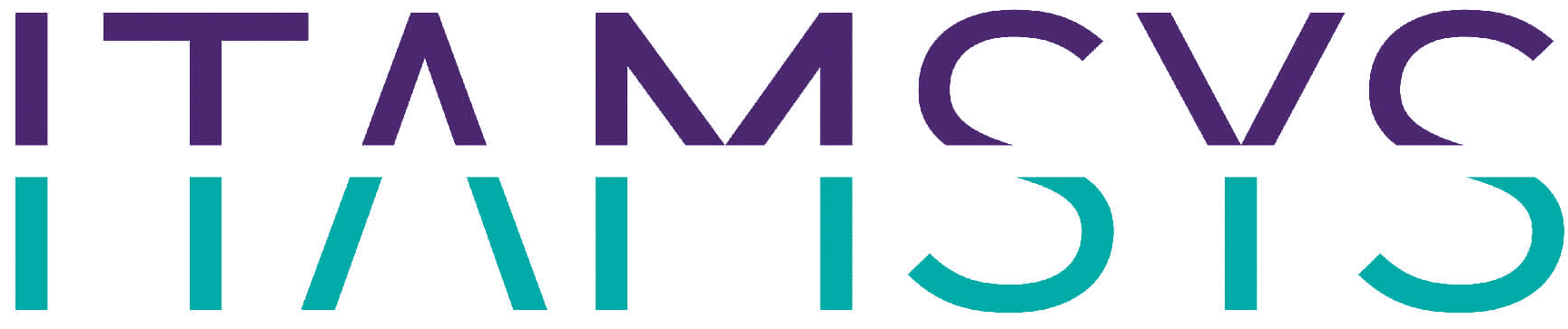 Logo officiel Itamsys - Intégrateur de solutions de Service Management